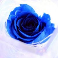 𝐚𝐠𝐚𝐢𝐧︎✦︎大人シングルの集い45over︎✦︎