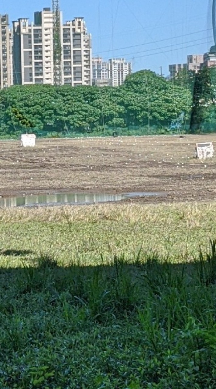 雙北道路用地(重劃區持分地)
