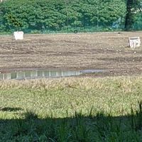 雙北道路用地(重劃區持分地)