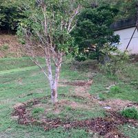 喜如嘉翔里山ワーク
