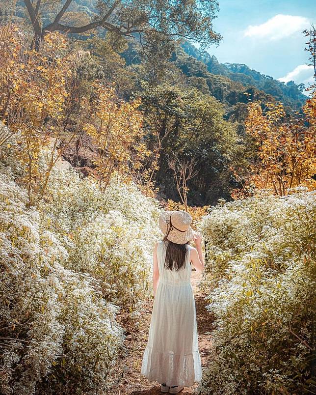 ▲圖片來源：IG@yupei1124