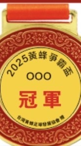 台灣黃蜂足球發展協會-競賽