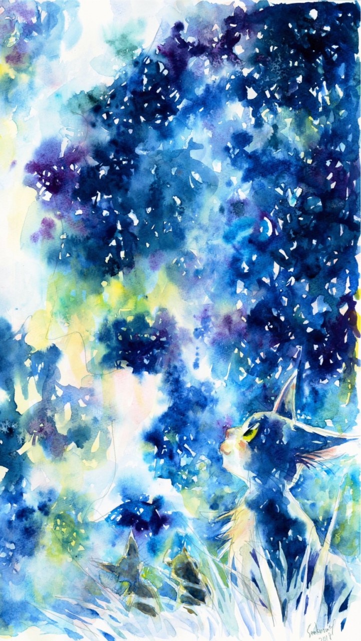 マイス☆マイス☆ライブ