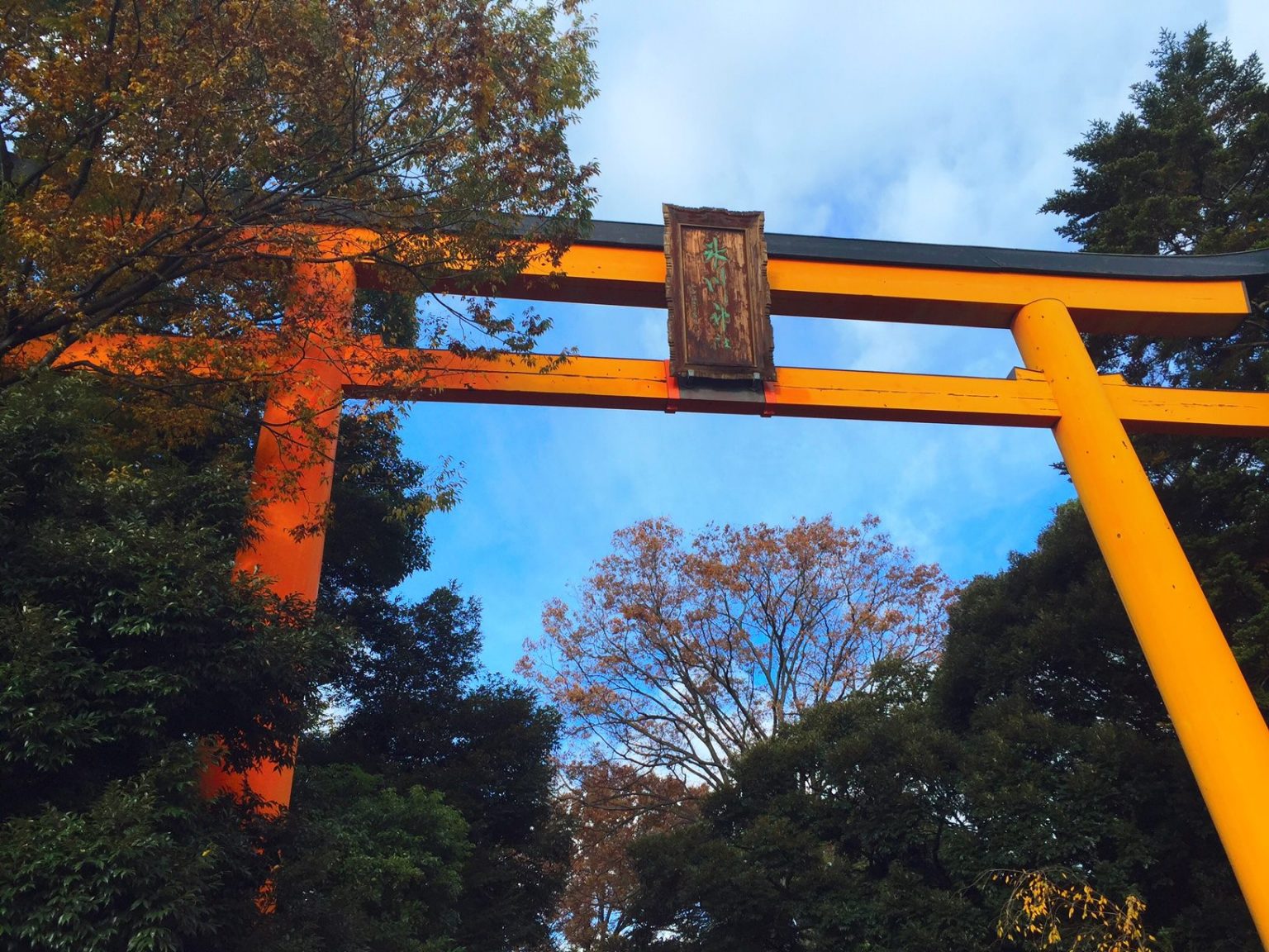 戀愛神社 東京081