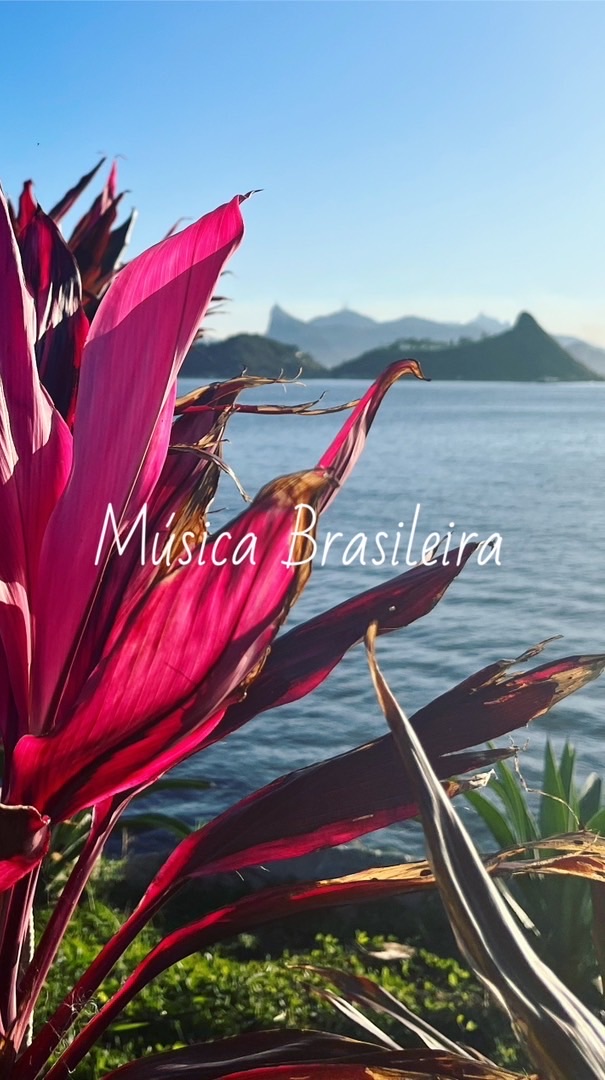 🇧🇷ブラジル音楽の宝石箱✨日本全国のブラジル好きな人集まろう❣️🇧🇷