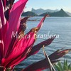 🇧🇷ブラジル音楽の宝石箱✨日本全国のブラジル好きな人集まろう❣️🇧🇷