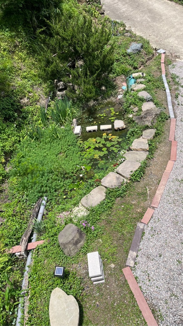 金明的橫山小屋