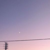 ののの隊