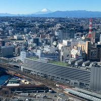平凡な雑談オプ×信号好きの集まりのオプ(=´∀｀)人(´∀｀=)