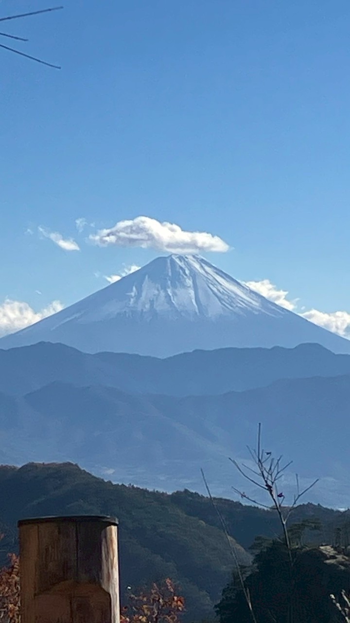 平凡な雑談オプ×信号好きの集まりのオプ(=´∀｀)人(´∀｀=)