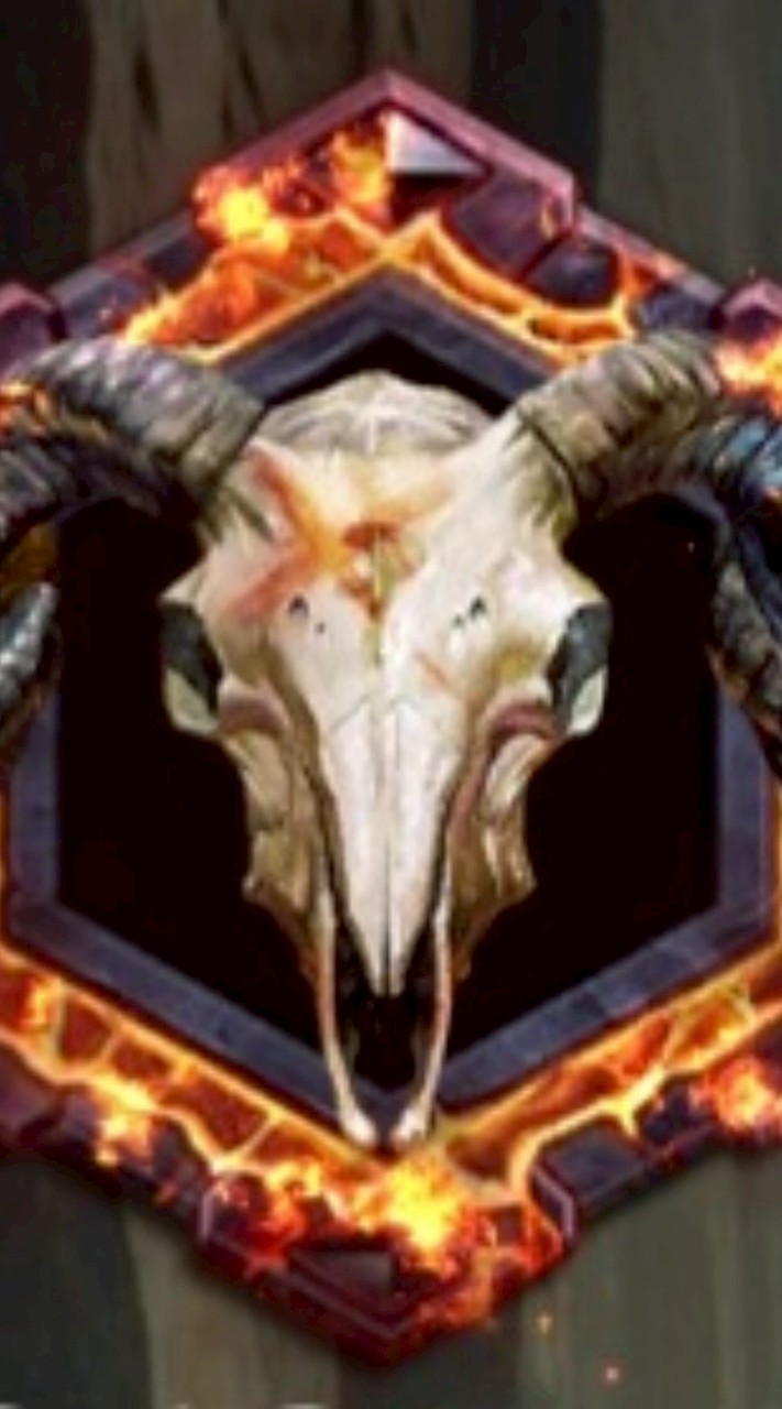 ベジサバ大陸合わせ