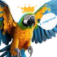 📢🩵กายบริหาร Ratchasupawadee 2568