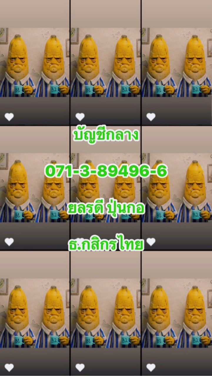 🐓ตลาดไก่ชน และข่าวสารกีฬาไก่ชน🐓 🤑เซียนออนไลน์🤑