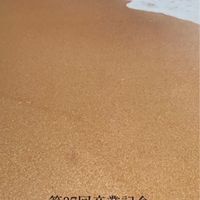 三高37期生チャット