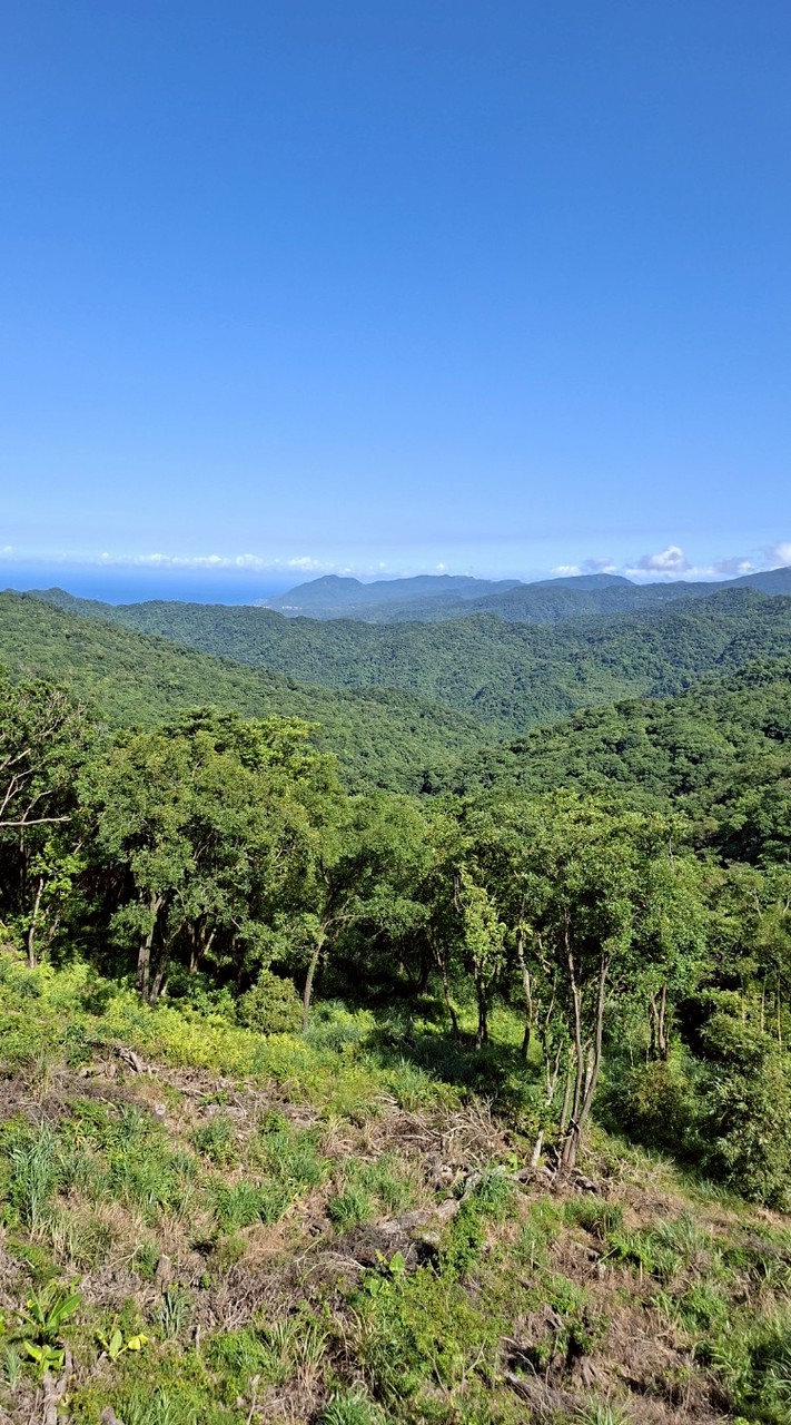 春風帶你玩上山下溪