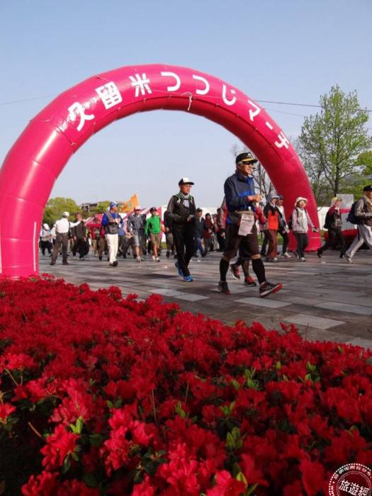 日本杜鵑花季攻略福岡久留米市賞花去 旅遊經 Line Today