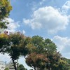監所3.0 高牆外也有晴天