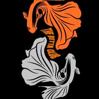 TRW X THE BETTA CLUB (ร้านปลากัดจตุจักร)