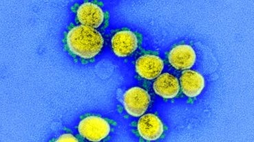 武漢肺炎病毒在人體外活多久？美國官方研究出爐！