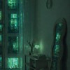 The Mandela Apartment