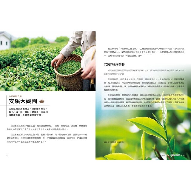 尋茶記.中國茶葉地理