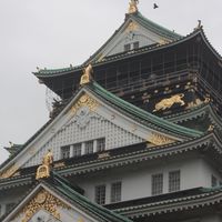 えぐみファンのたまり場