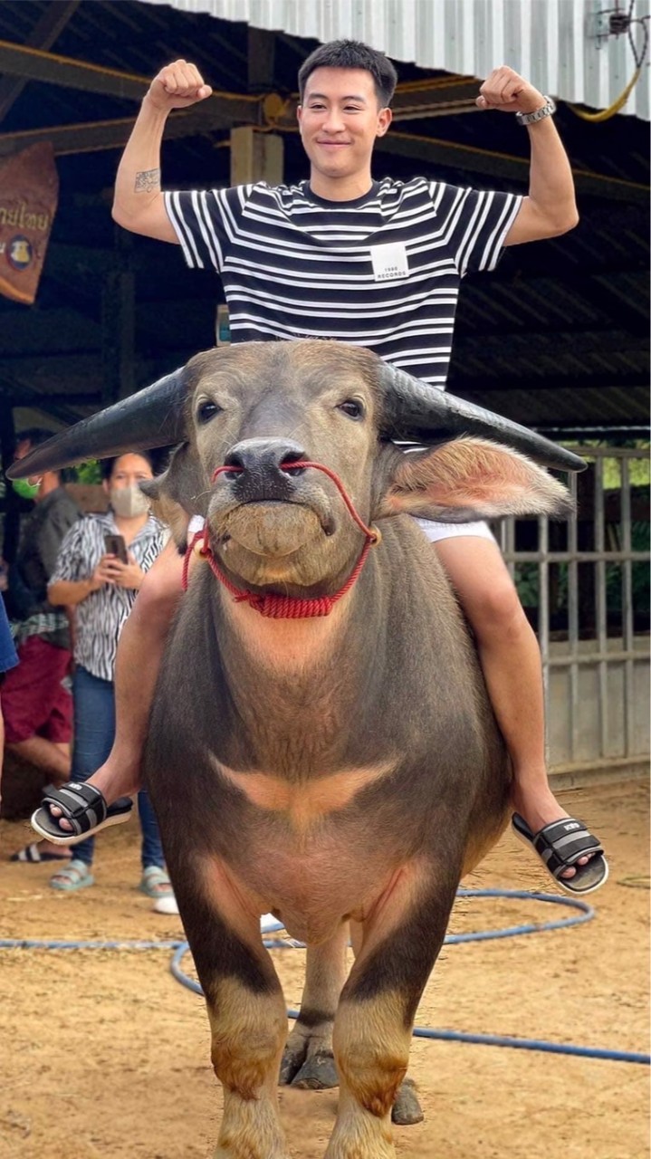 เพชรกล้า