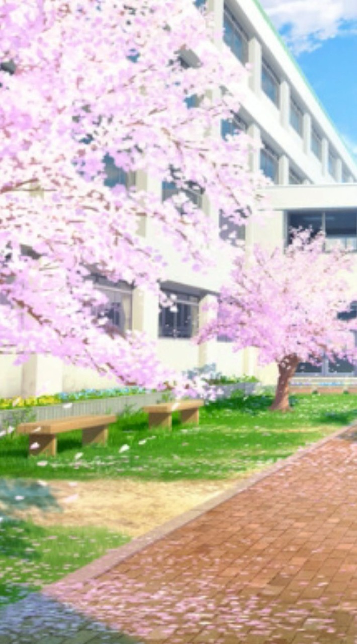 ◸ᑎᗴᗯ◿ ✎。大人学園𖠱꙳教室