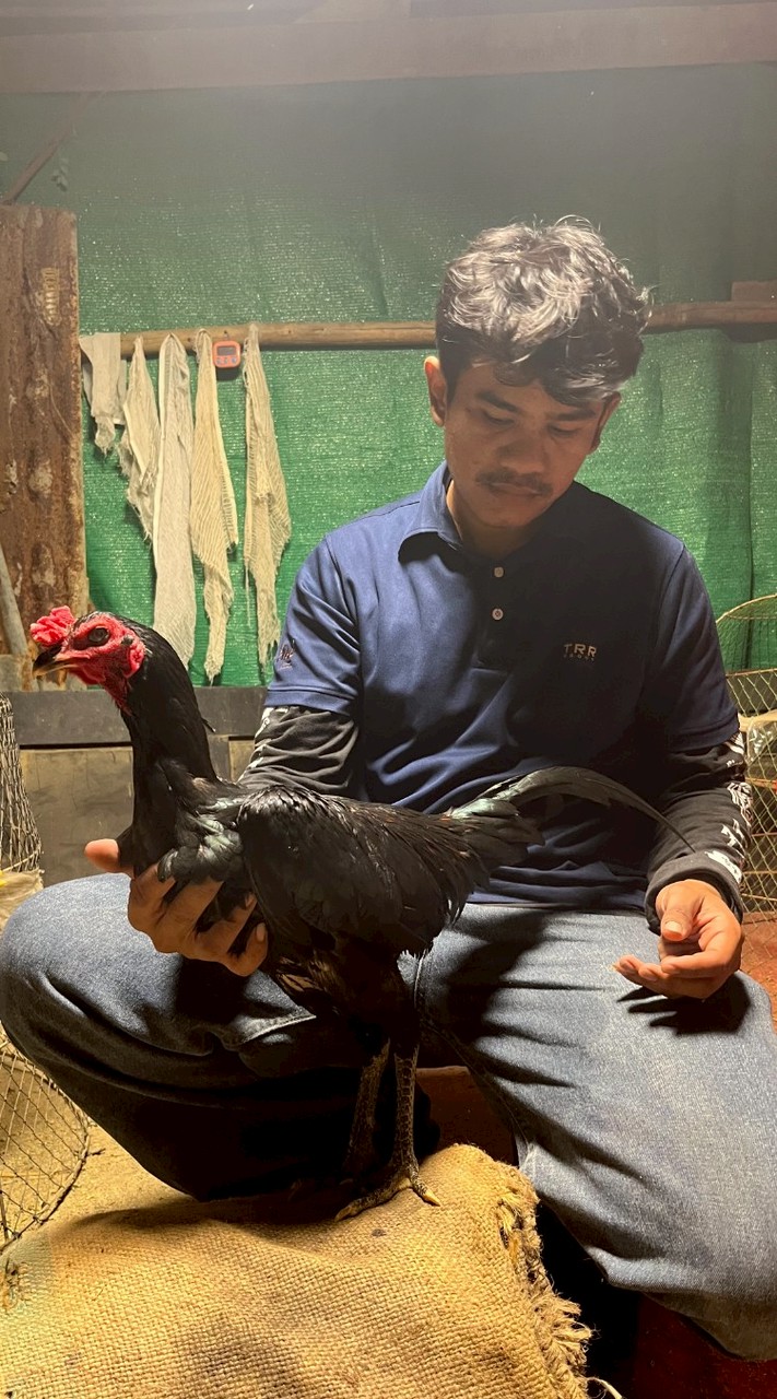สมาชิกไก่ชนของดีสุดซอย