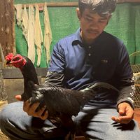 สมาชิกไก่ชนของดีสุดซอย