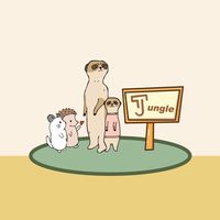 J狐獴龍貓花栗鼠及小型哺乳類飼養分享週邊商品交流