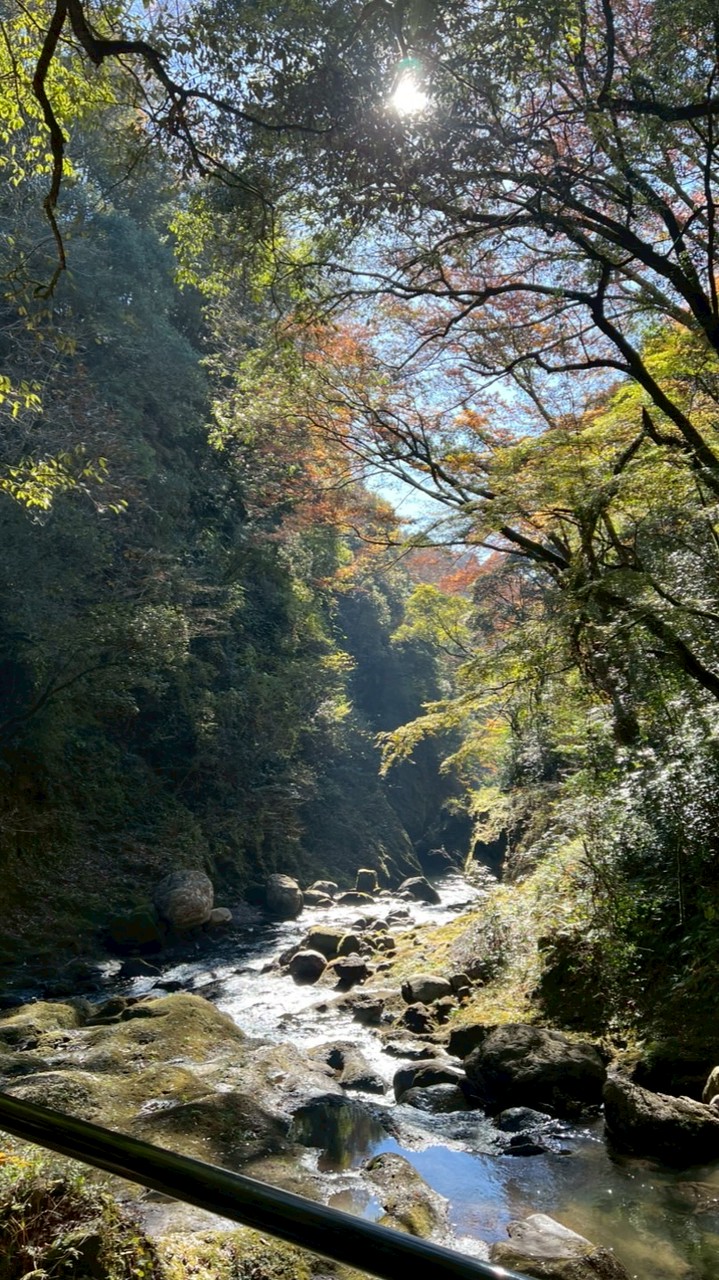 おでかけドライ部★