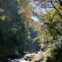 おでかけドライ部★