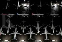 Setelah Menghilang 155 Tahun Ibis Sendok Raja Kembali Terlihat