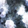 結婚してって言っちゃいたい ✧ 全緩夢𝐡𝐮𝐧𝐭