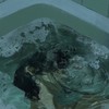 なんとなく __折恋