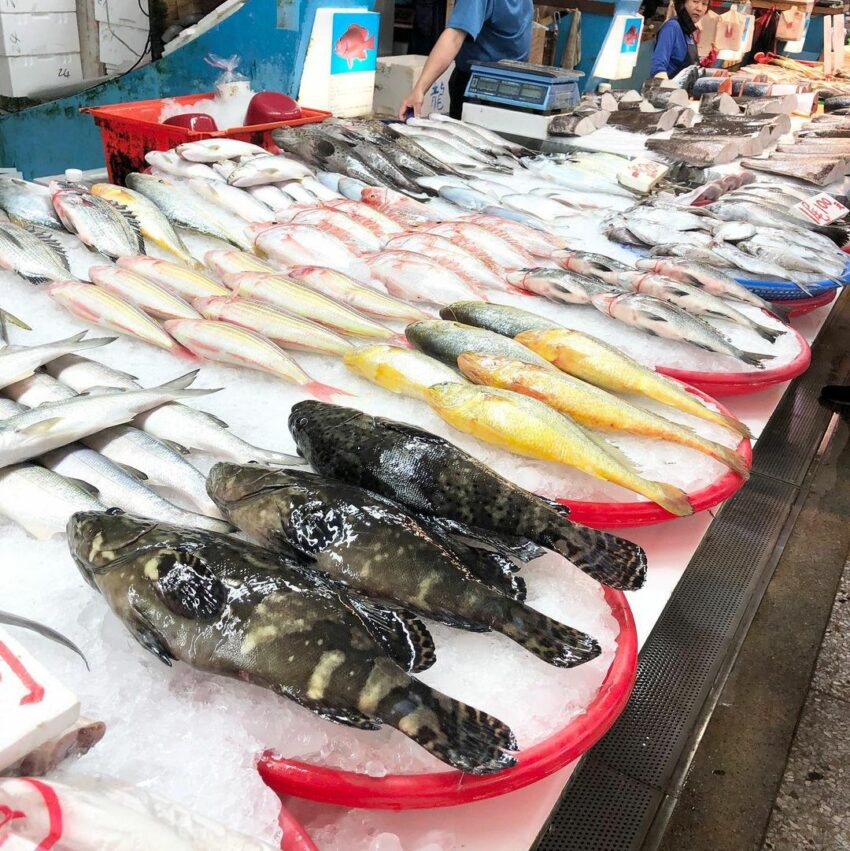 台中海線 台中海線｜2022海線一日遊懶人包、最新景點、美食推薦攻略 8 2022