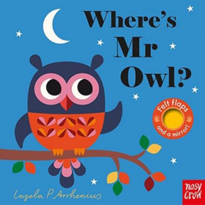Where s Mr Owl? 貓頭鷹在哪裡?不織布翻翻書