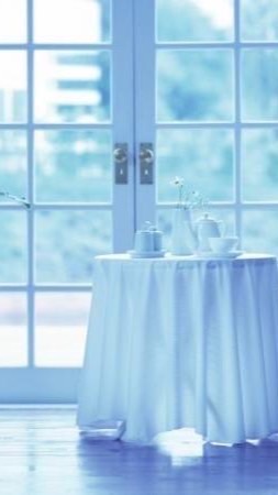 🌸シニア🌸世代の仲間と楽しく語る🌈シニア🍵癒しの部屋☕️