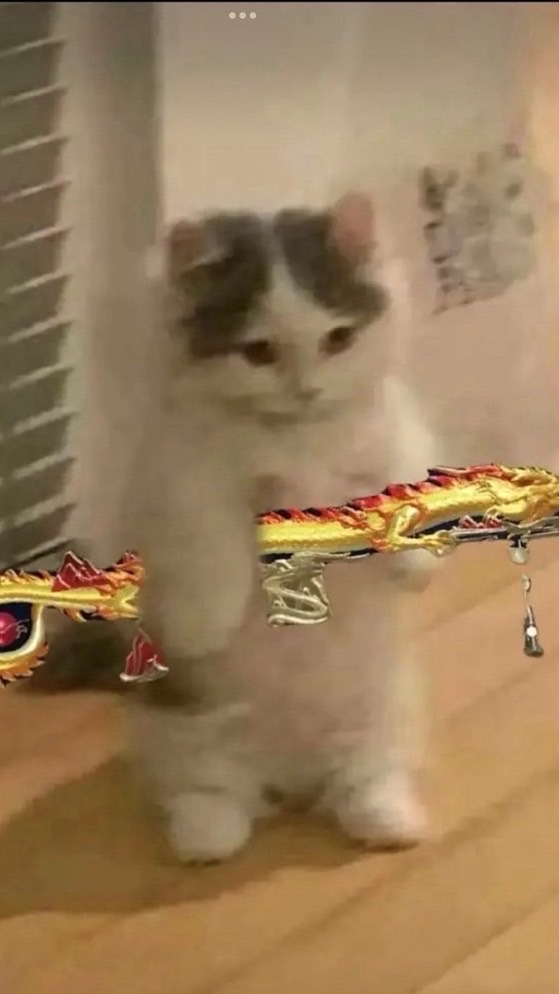 ST俱樂部總公司（護航）