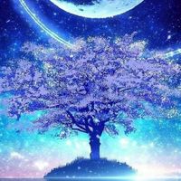 《忍者必須死》月夜神話