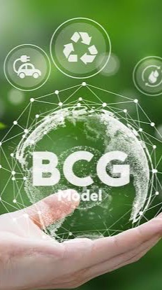 BCG Palm