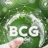 BCG Palm