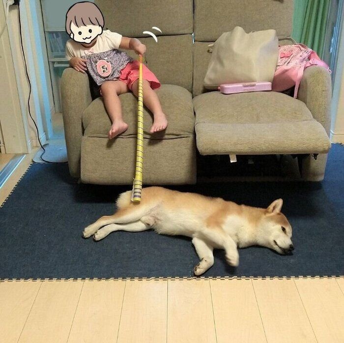 犬が 前足ピーン をする理由 どうして突っ張るの