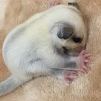 蜜蜜家園