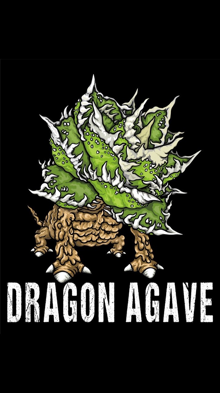 DRAGON  AGAVE