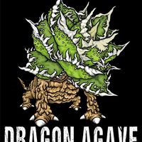 DRAGON  AGAVE