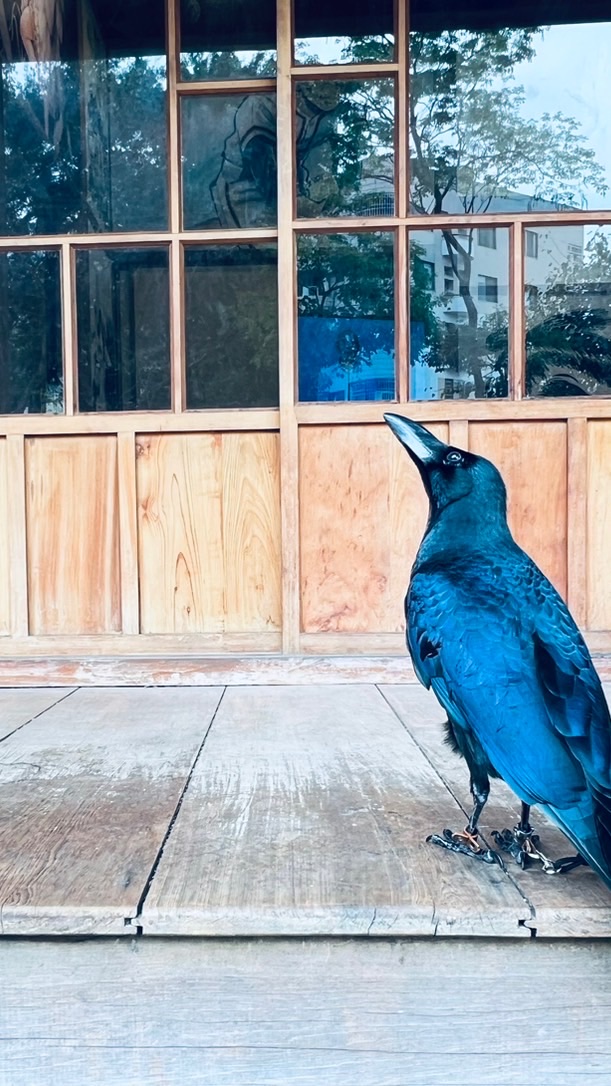 🐦焦啊們🐦課程活動通知群