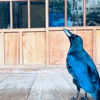 🐦焦啊們🐦課程活動通知群