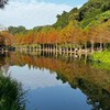 台中子軒旅遊團